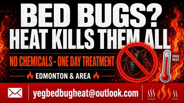 YEG Bed Bugs – Landlords & multi-unit in Edmonton